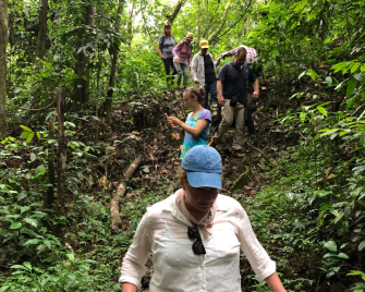 Dominican Republic visitors walking in the jungle