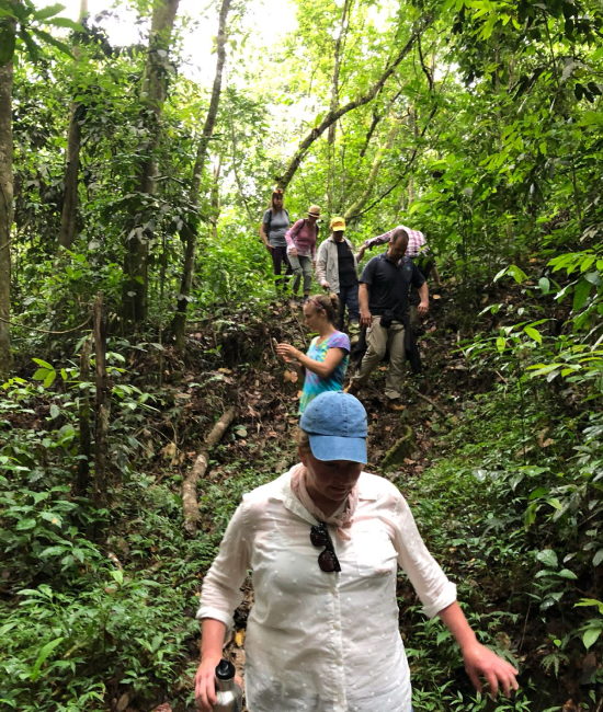 Dominican Republic visitors walking in the jungle