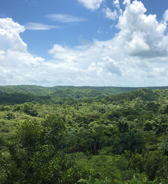 Landscape of Dominican Republic